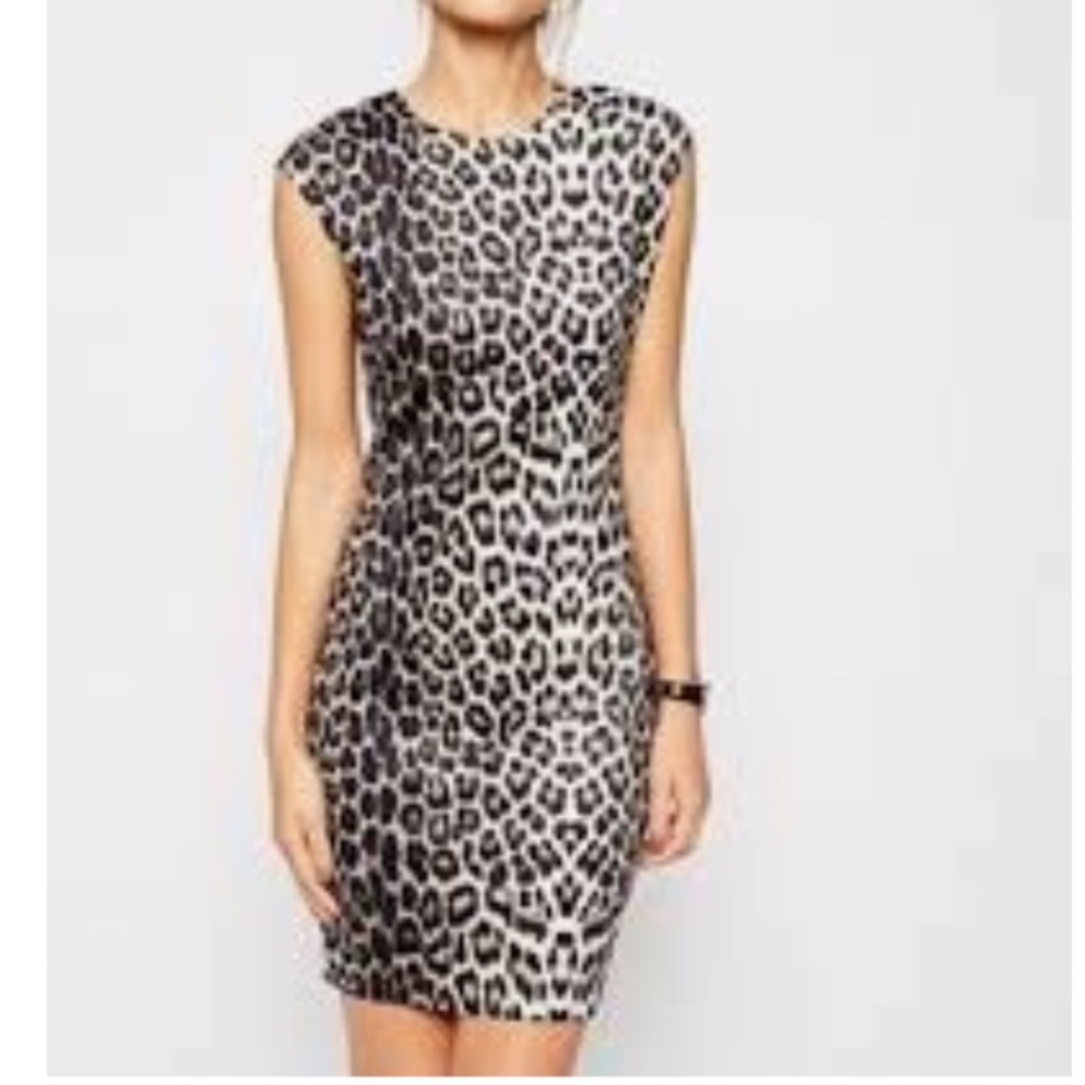 Zara Dress